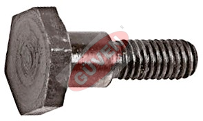 İLAÇLAMA- 3WZ-6 TF900 BALATA VİDASI-BRETOON