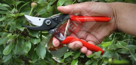 Felco 5 Budama Makası 22.5mm By-Pass