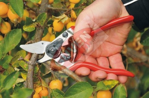 Felco 6 Budama Makası 19.5cm Sağ By-Pass