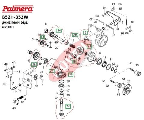 PALMERA-VİTES PİNYON DİŞLİSİ B52H,W